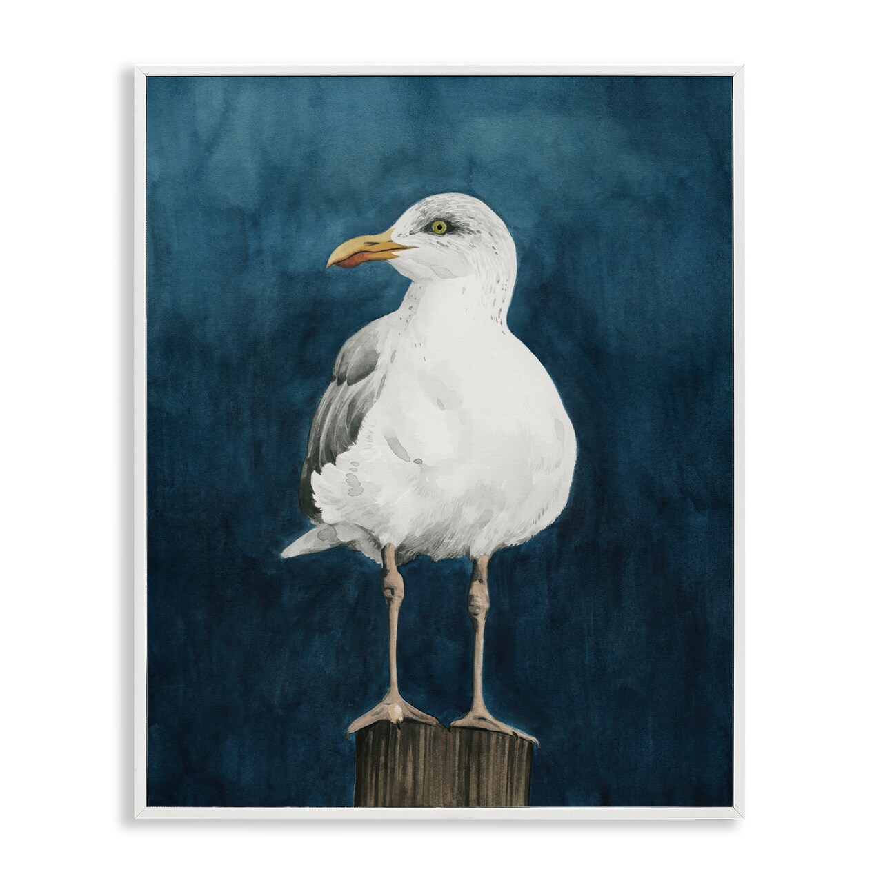Stupell Industries Perched Coastal Bird Framed Giclee Wall Art Design by Grace Popp